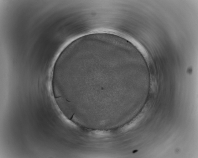 X0000102361102200808151807