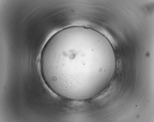 X0000102361103200808151807