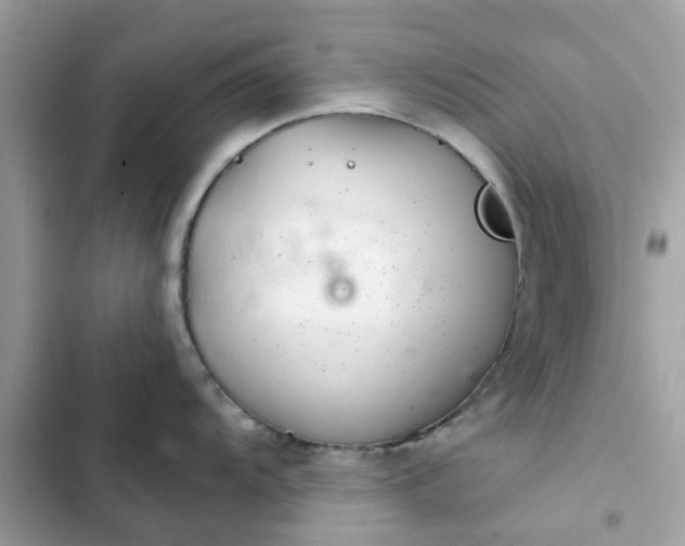 X0000102361104200808151807