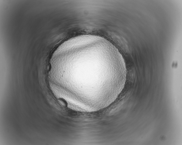 X0000102361105200808151807