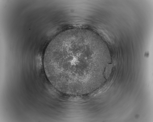 X0000102361106200808151807