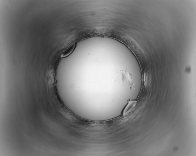 X0000102361107200808151807