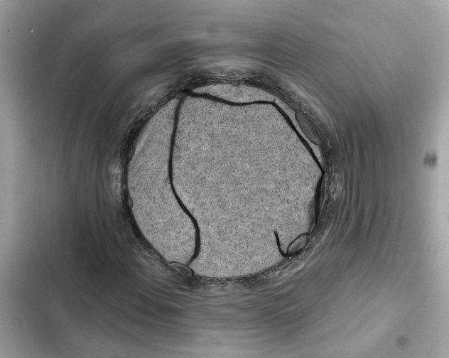 X0000102361108200808151807