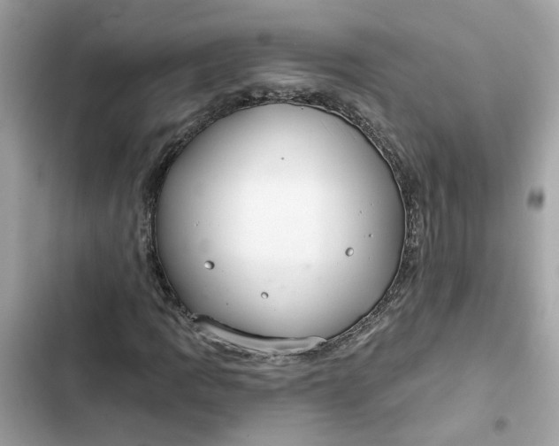 X0000102361109200808151807