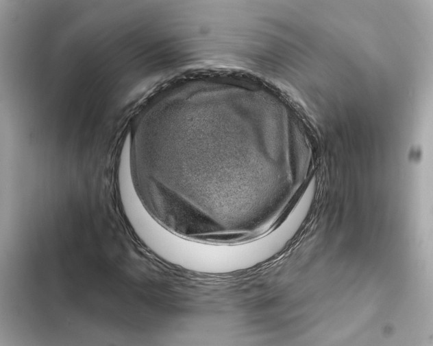 X0000102361110200808151807