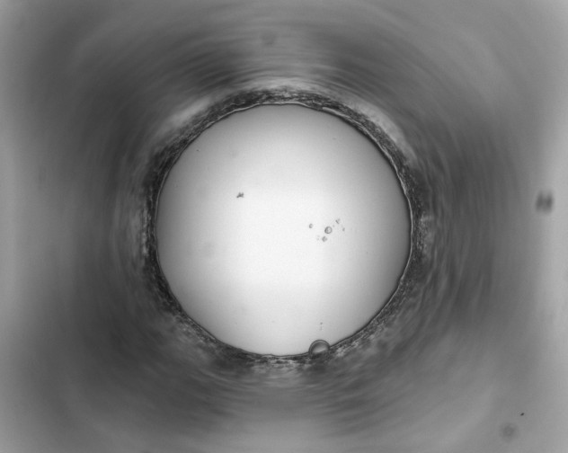 X0000102361111200808151807