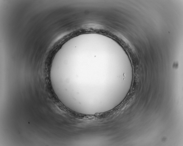 X0000102361112200808151807