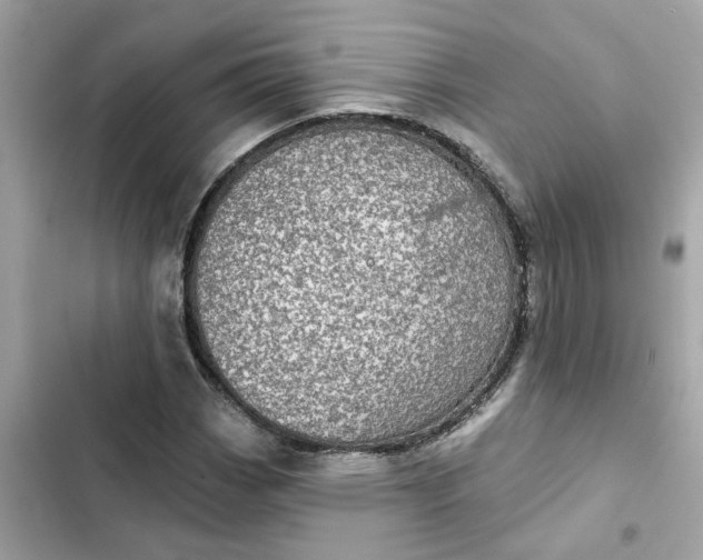 X0000102361113200808151807