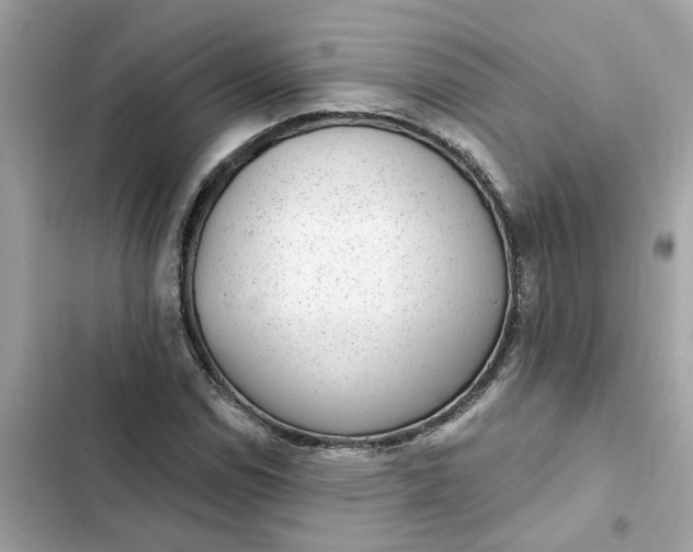 X0000102361114200808151807