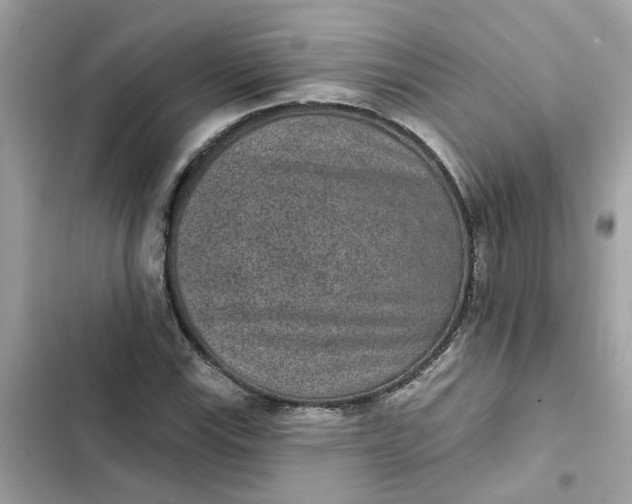 X0000102361115200808151807