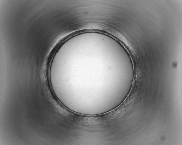 X0000102361116200808151807