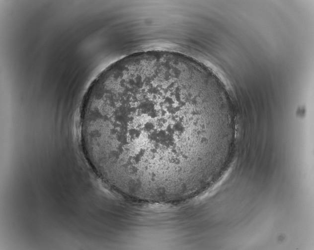 X0000102361117200808151807