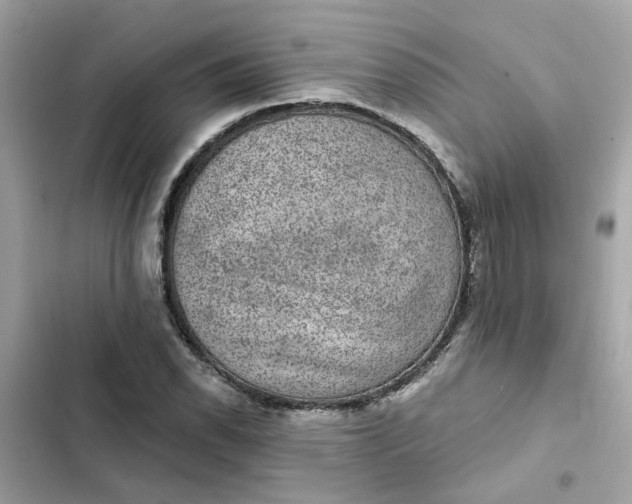 X0000102361118200808151807