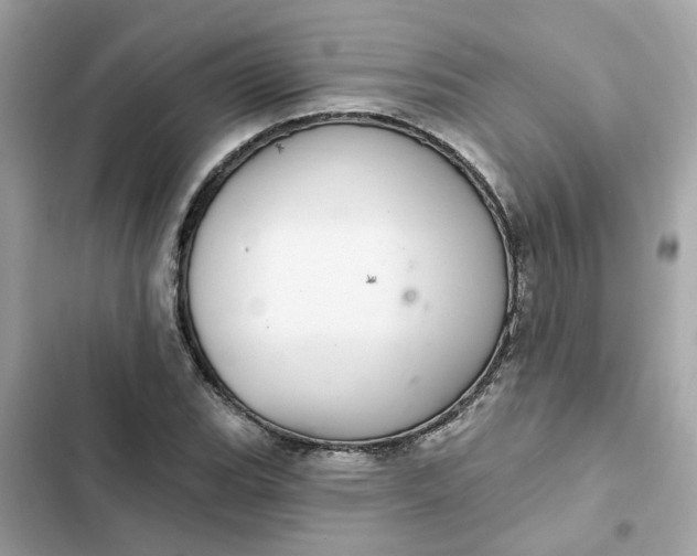 X0000102361119200808151807