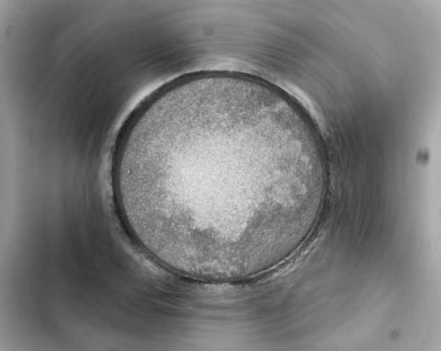 X0000102361120200808151807