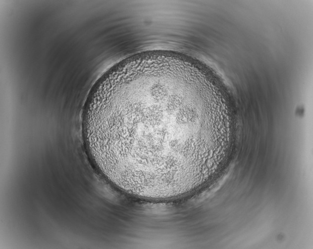 X0000102361121200808151807