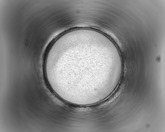 X0000102361122200808151807