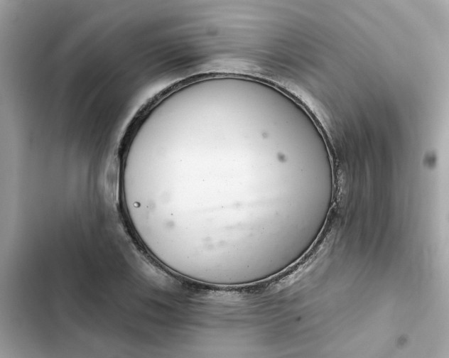 X0000102361123200808151807