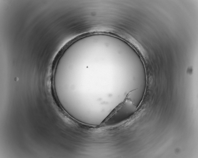 X0000102361124200808151807