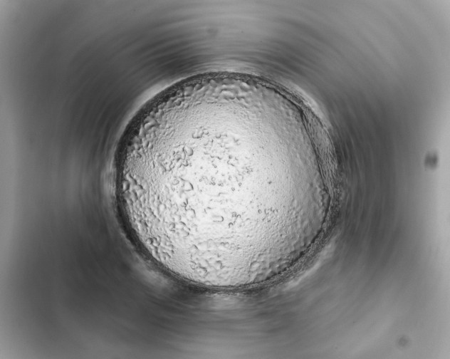 X0000102361125200808151807