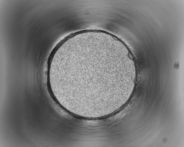 X0000102361126200808151807