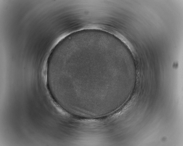 X0000102361127200808151807