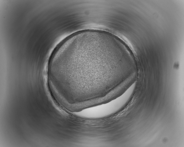 X0000102361128200808151807