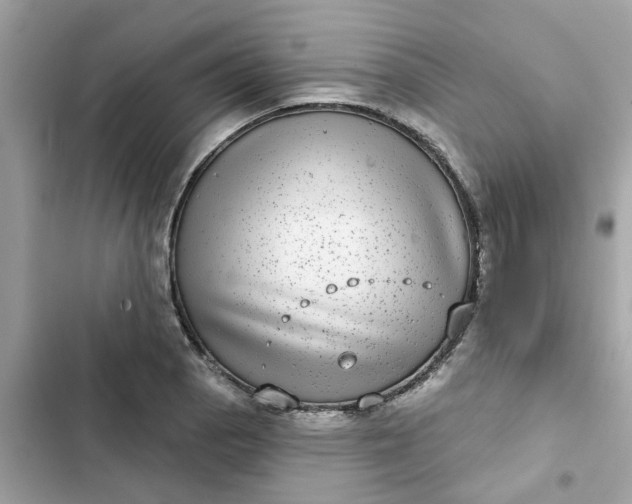 X0000102361129200808151807