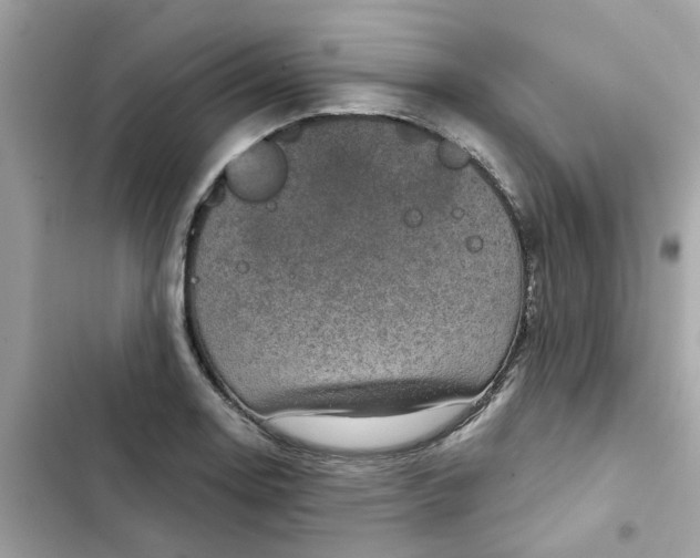 X0000102361130200808151807