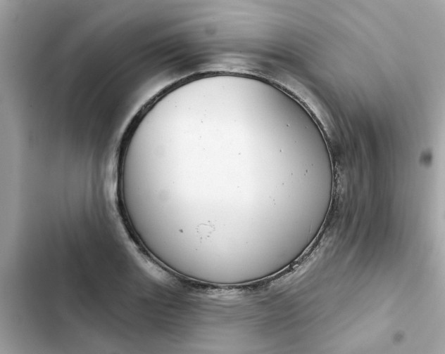 X0000102361131200808151807