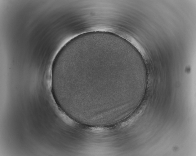 X0000102361132200808151807