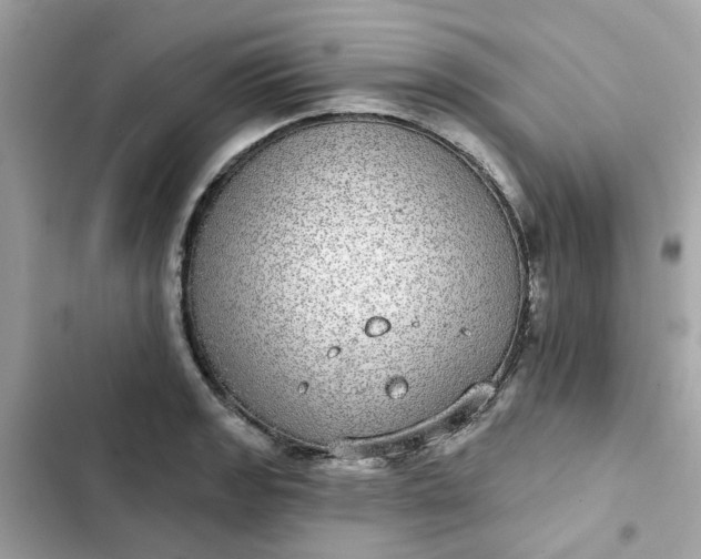 X0000102361133200808151807