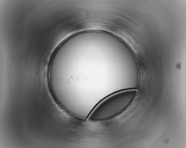 X0000102361134200808151807