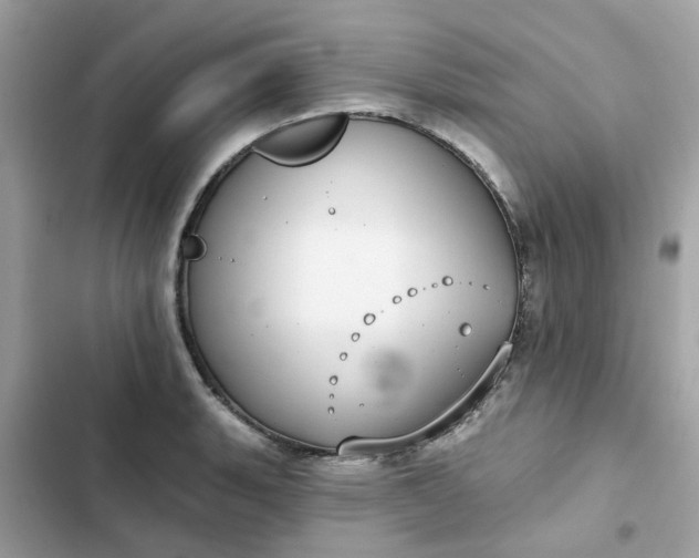 X0000102361135200808151807