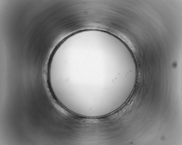 X0000102361136200808151807