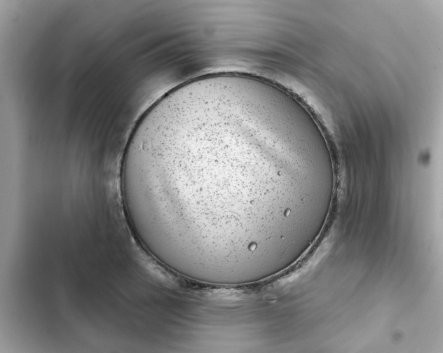 X0000102361137200808151807