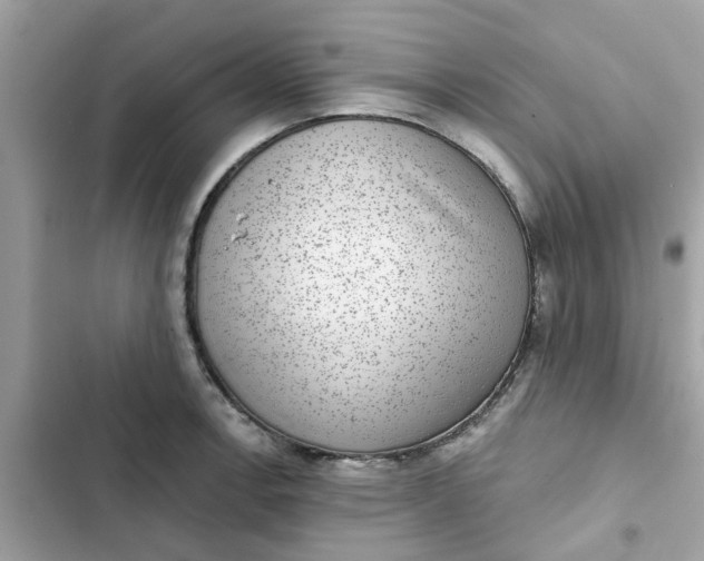 X0000102361138200808151807