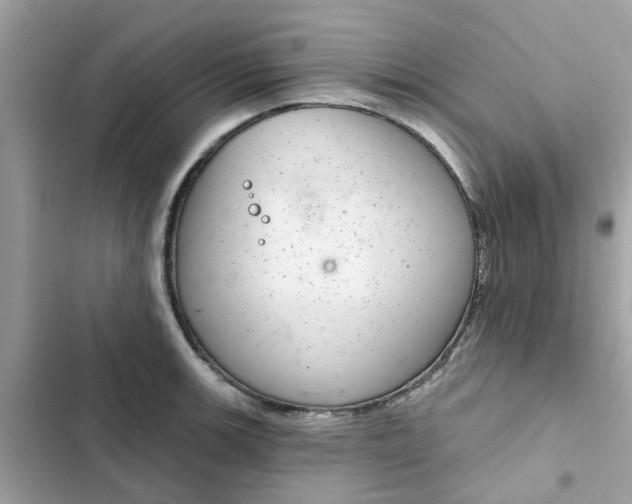 X0000102361139200808151807