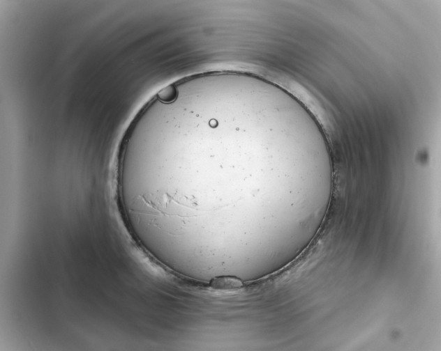 X0000102361140200808151807