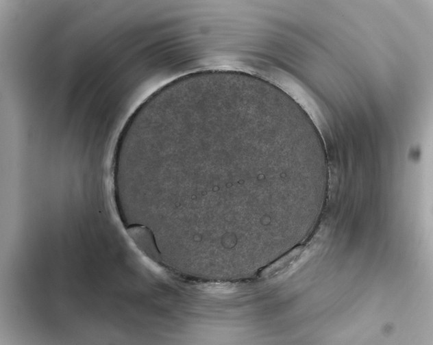 X0000102361141200808151807