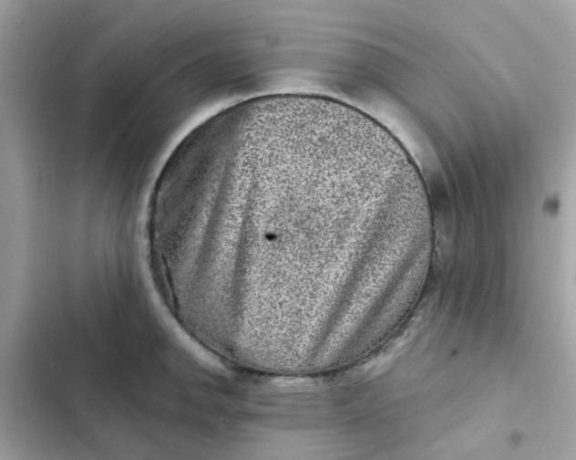 X0000102361142200808151807