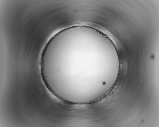 X0000102361143200808151807