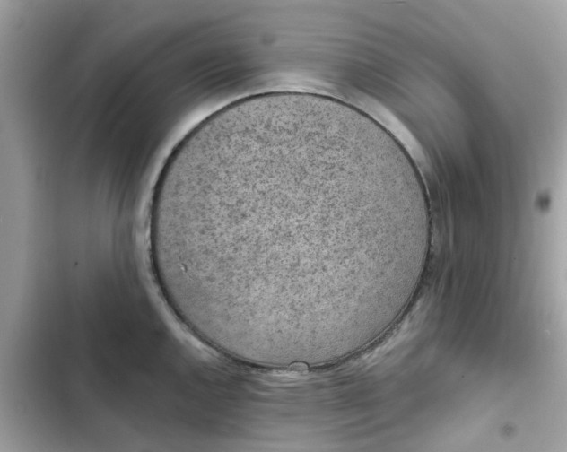 X0000102361144200808151807