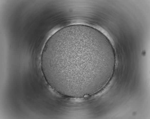 X0000102361145200808151807