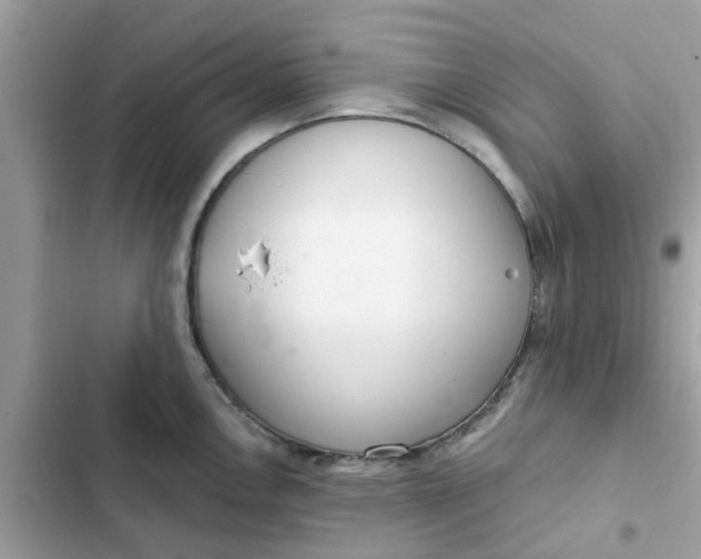 X0000102361146200808151807