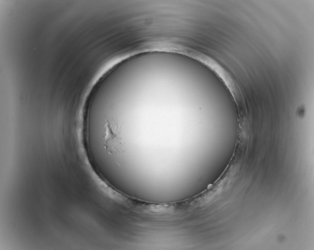 X0000102361147200808151807