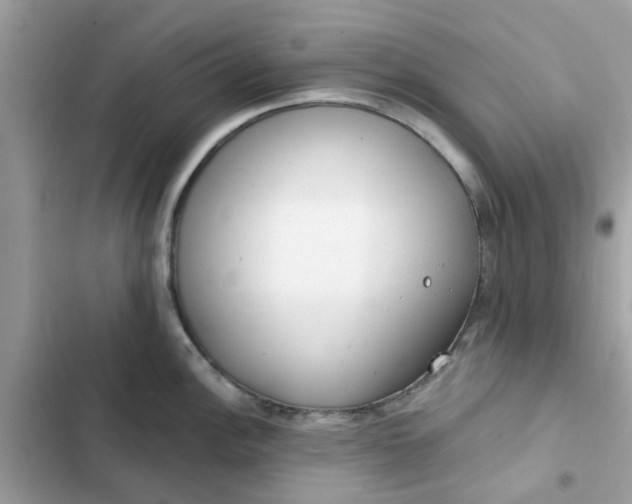 X0000102361148200808151807