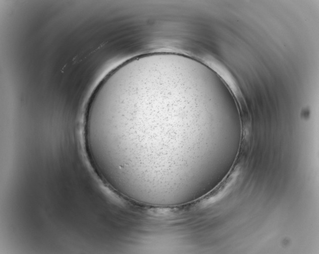 X0000102361149200808151807