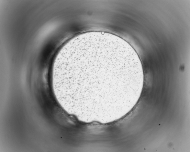 X0000102361150200808151807