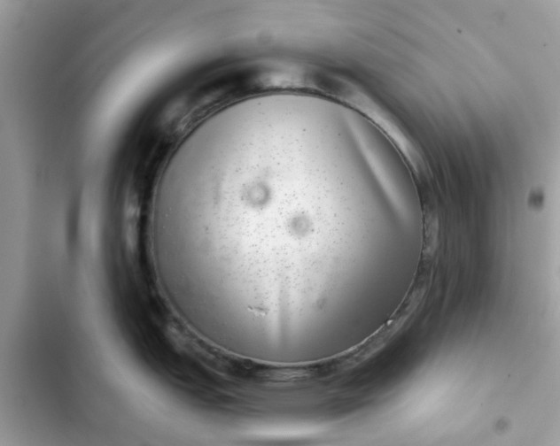 X0000102361151200808151807